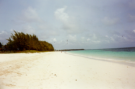 Beach View