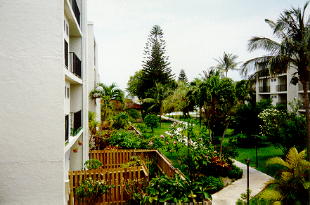 Courtyard