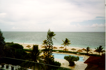 Condo View