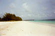 View of Beach