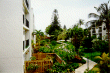 Courtyard View