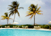 Poolside View